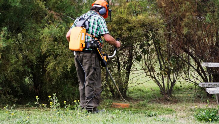 ENTRETIEN DE L’OUTILLAGE EN ESPACE VERT
