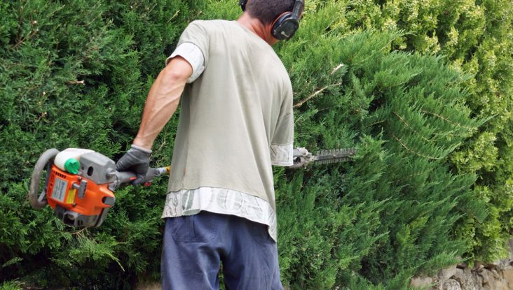 L’ENVIRONNEMENT DES ESPACES VERTS